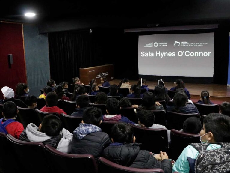 Convocan a una sentada por la Defensa de la Universidad Pública y el Cine Tucumano