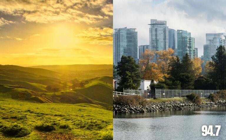 La UNT lanza la Diplomatura de Extensión en Diseño del Paisaje 2025: Inscripciones Abiertas