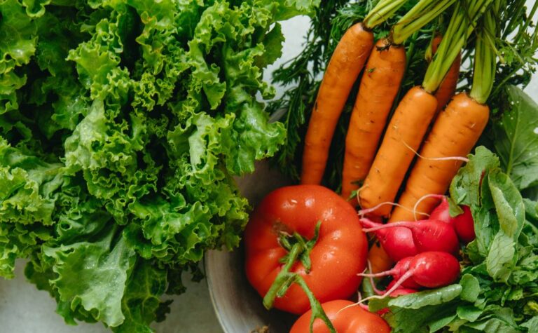 ¡Especializate en el Futuro del Agro! Inscribite en la Diplomatura en Nutrición Vegetal y Fertirriego (INTA-FAZyV-UNT)