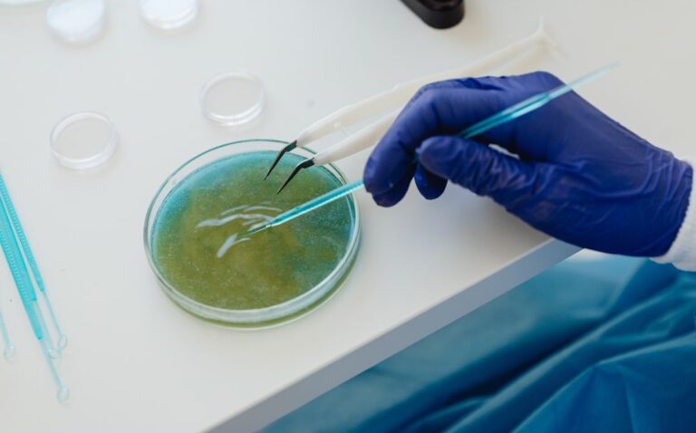 Gran oportunidad! Pasantías en Medio Ambiente para estudiantes de Biotecnología, Bioquímica y Química UNT