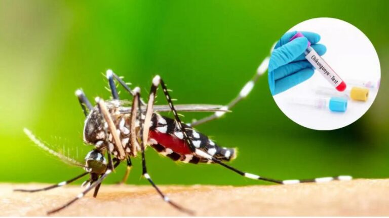 Dengue y chikungunya: advierten que Tucumán atraviesa una etapa de “contención” ante el aumento de casos